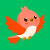 Exotic Birds & Chicks